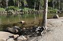 P004 Yosemite N.P. Merced River